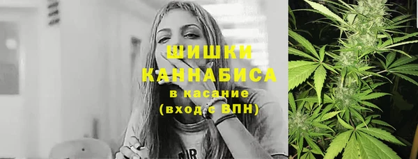 шишки Осинники