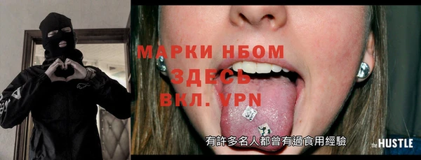 шишки Осинники