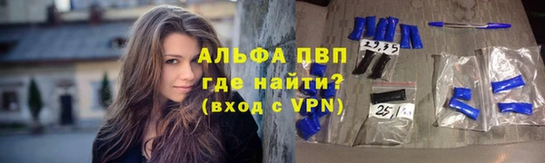 шишки Осинники
