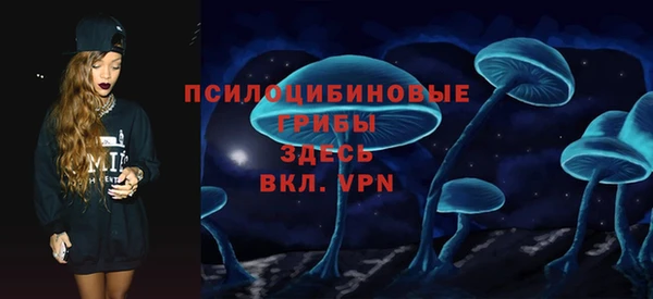шишки Осинники