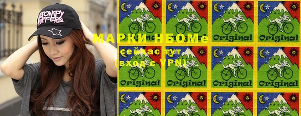 шишки Осинники