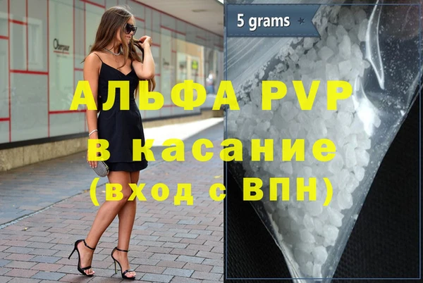 шишки Осинники