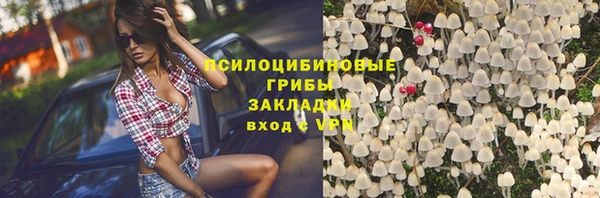 шишки Осинники