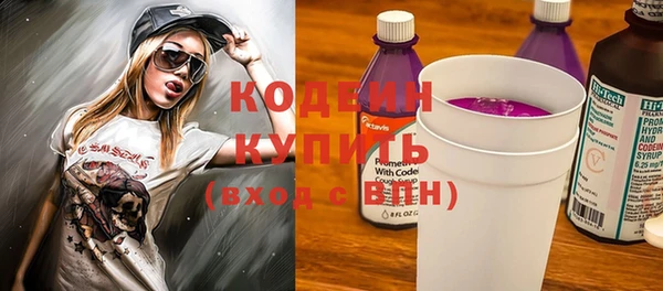 шишки Осинники