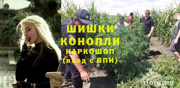 шишки Осинники