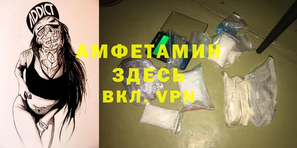 шишки Осинники